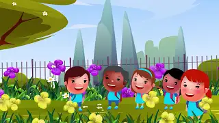 Videos